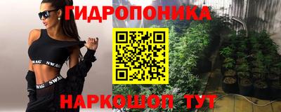 стаф Будённовск