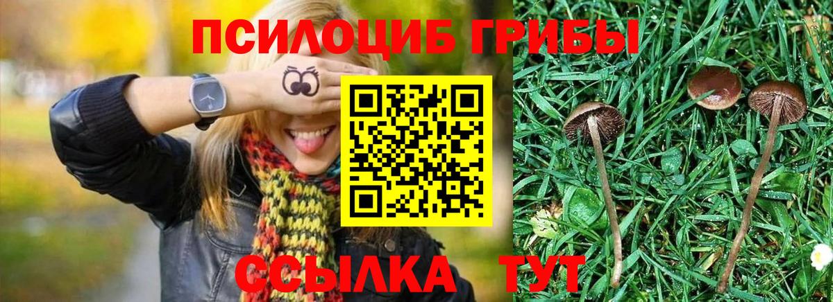 Реутов  сколько стоит  Галлюциногенные грибы мухоморы  Вход с VPN  Галлюциногенные грибы Cubensis 